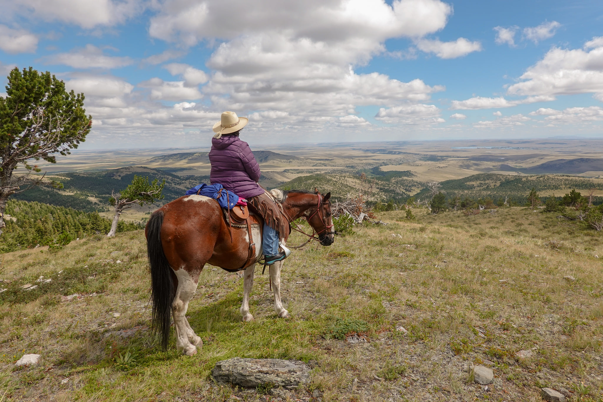 Escape To Healing: An Immersive Intensive Therapy Retreat